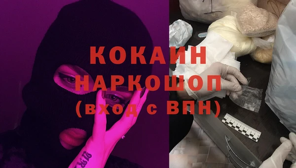 стафф Новокубанск