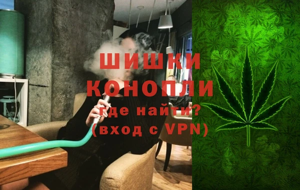стафф Новокубанск