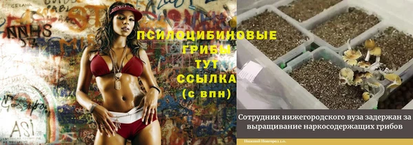 метадон Новозыбков