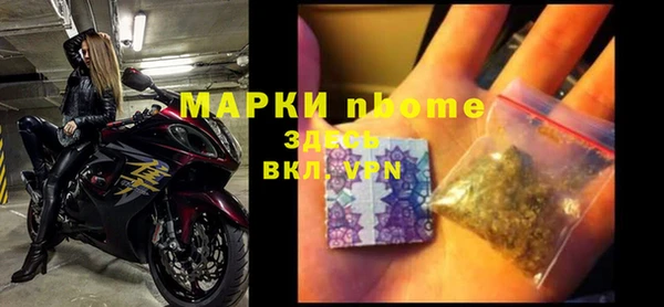 стафф Новокубанск