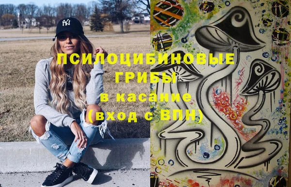 стафф Новокубанск