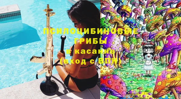 стафф Новокубанск